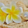 pg808hawaii